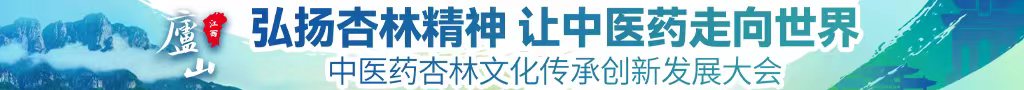 中国熟妇茸毛毛中医药杏林文化传承创新发展大会